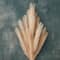 Wispy Pampas Grass Stem by Ashland®